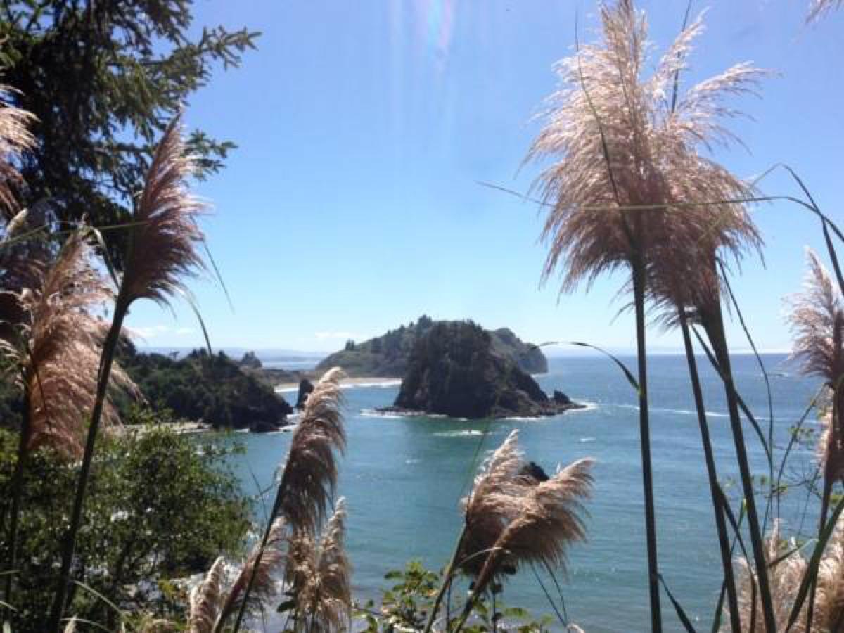 Trinidad Bay Bed And Breakfast Hotel 외부 사진